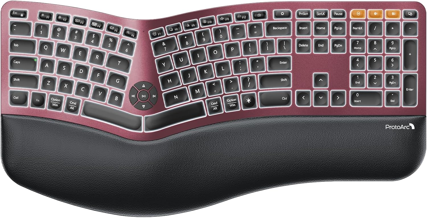 ProtoArc EK01 Plus View 2